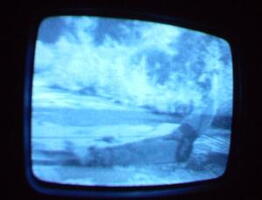 2006 01 10 06 39 18