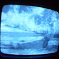 2006 01 10 06 39 18