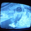 2006 01 10 06 40 18