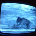 2006 01 10 06 40 28