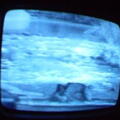 2006 01 10 06 40 38