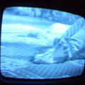2006 01 10 06 41 28