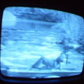 2006 01 10 06 41 38
