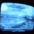2006 01 10 06 41 48