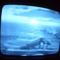2006 01 10 06 42 18