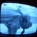 2006 01 10 06 42 38