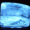 2006 01 10 06 42 58