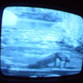 2006 01 10 06 43 08