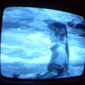 2006 01 10 06 43 38