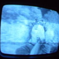 2006 01 10 06 44 28