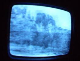 2006 01 10 06 44 48