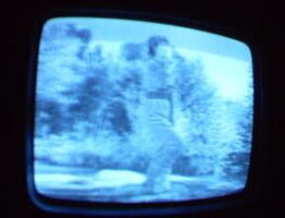 2006 01 10 06 44 58