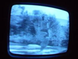 2006 01 10 06 45 58