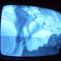 2006 01 10 06 46 58
