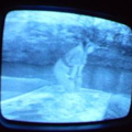 2006 01 10 06 47 38