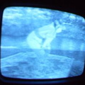 2006 01 10 06 47 48