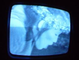 2006 01 10 06 50 18