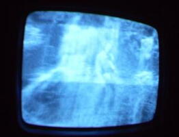 2006 01 10 06 51 38