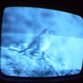 2006 01 10 06 54 19