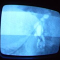 2006 01 10 06 55 29