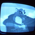 2006 01 10 07 00 39