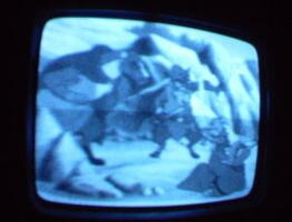 2006 01 10 07 06 29