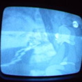 2006 01 10 07 09 39