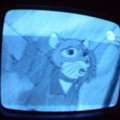 2006 01 10 07 11 29