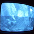 2006 01 10 07 11 59