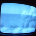 2006 01 10 07 13 40