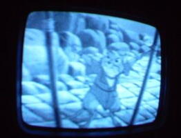 2006 01 10 07 13 49
