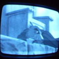 2006 01 10 07 16 20