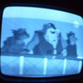 2006 01 10 07 17 50