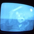 2006 01 10 07 23 30