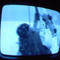 2006 01 10 07 24 29