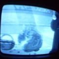 2006 01 10 07 30 50