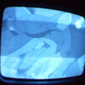 2006 01 10 07 31 00