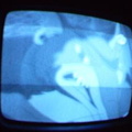 2006 01 10 07 31 09