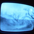 2006 01 10 07 32 50