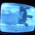 2006 01 10 07 33 20