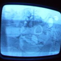 2006 01 10 07 34 00