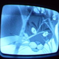 2006 01 10 07 35 10