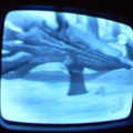 2006 01 10 07 35 19