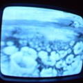 2006 01 10 07 35 40