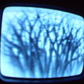 2006 01 10 07 36 00