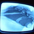 2006 01 10 07 36 30