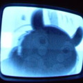 2006 01 10 07 36 40