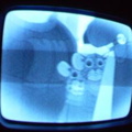 2006 01 10 07 37 00