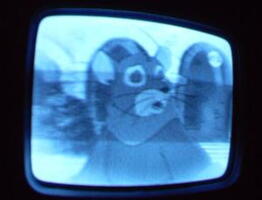 2006 01 10 07 37 50