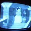 2006 01 10 07 40 20